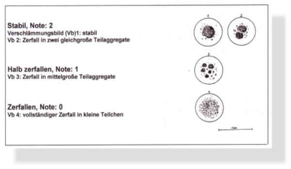 Verschlämmungstest nach BESTE