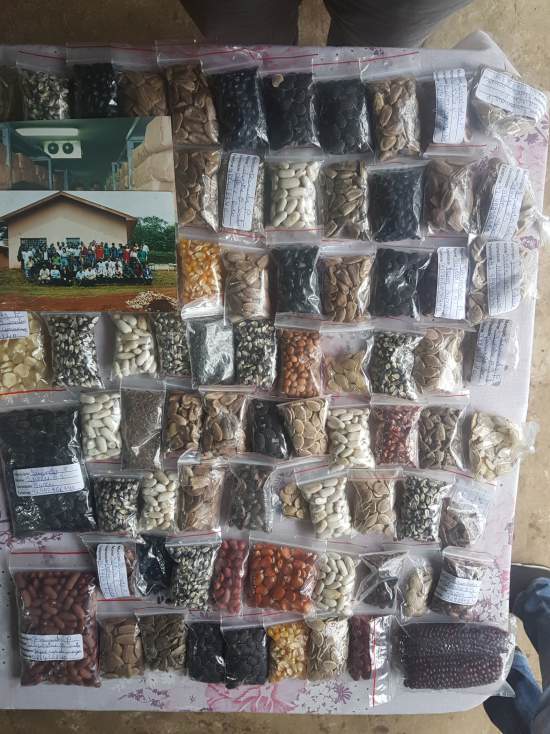 seed diversity south of Brazil