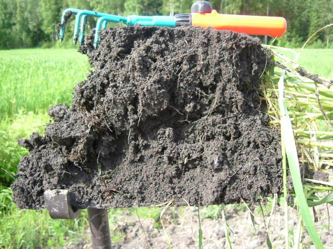 soil fertility - sound soil structure  - clay soil