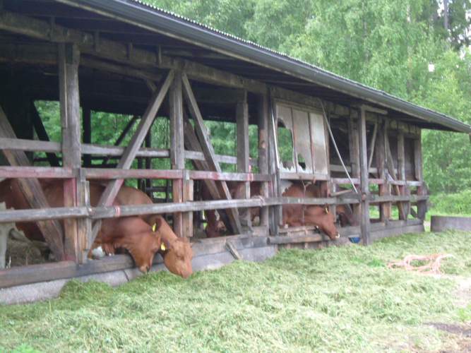 organic milk production Finland