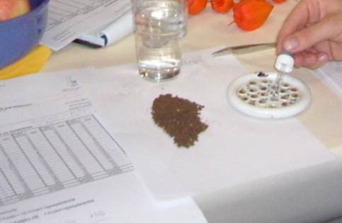 silting test according BESTE