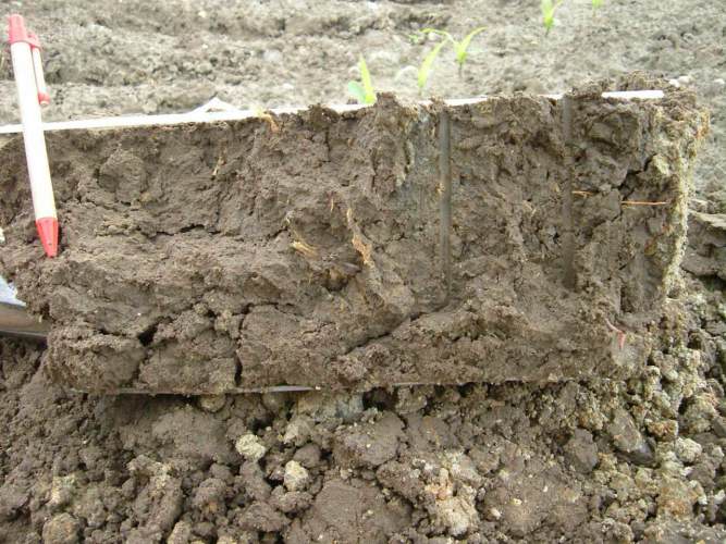 compacted soil structure - loam