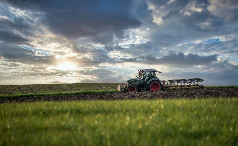 ploughing or no-till?