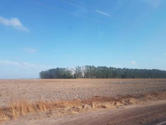 deforestation cerrado Brazil