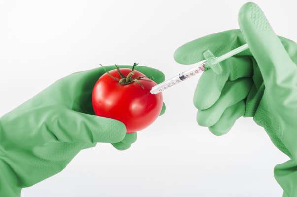 genetic engineering CRISPR/Cas