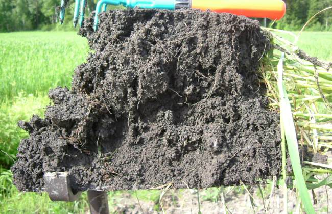 soil fertility - sound soil structure  - clay soil