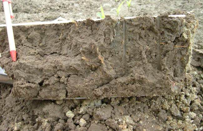 compacted soil structure - loam