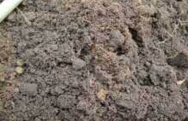 crumbly soil structure - loam