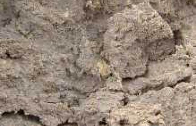 Verdichtete Bodenstruktur vergrößert - Lehm